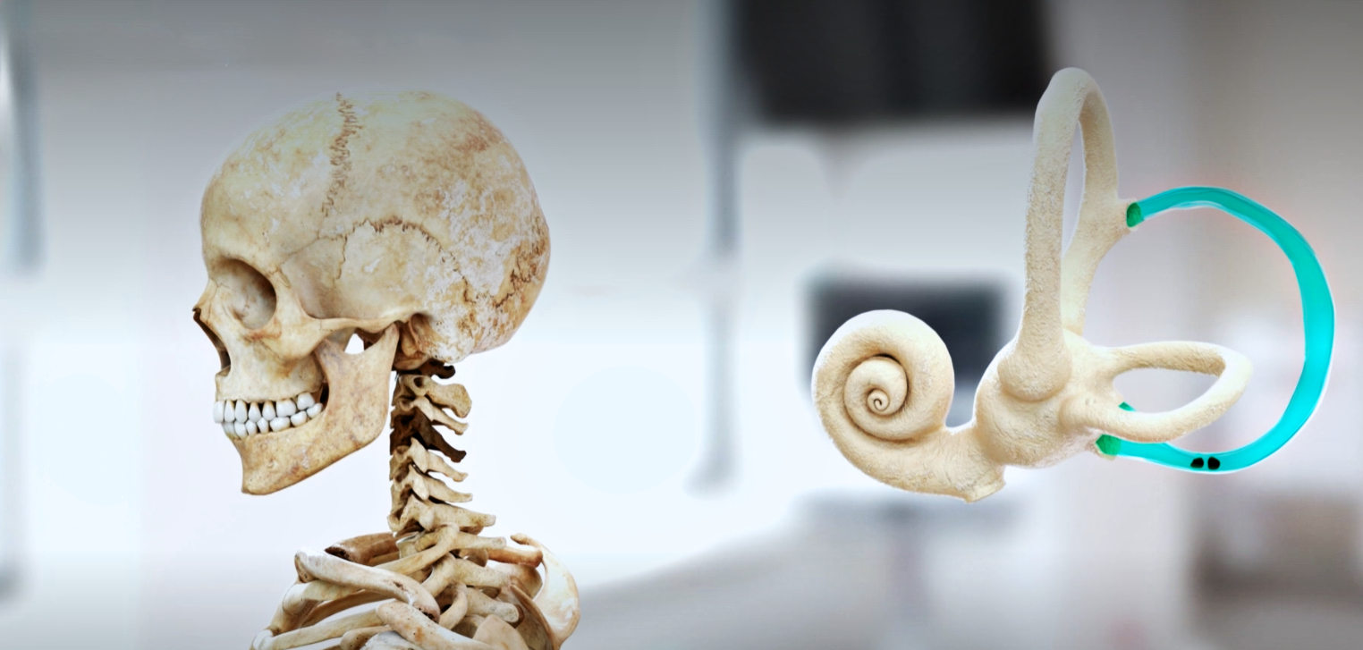 3D scientific visualization specialist